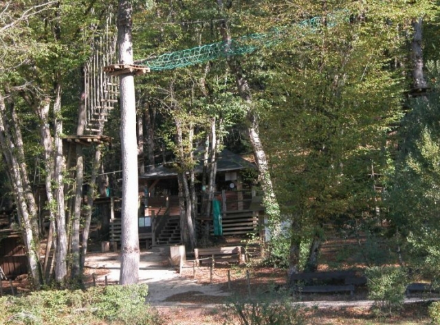  Course in the trees with family 